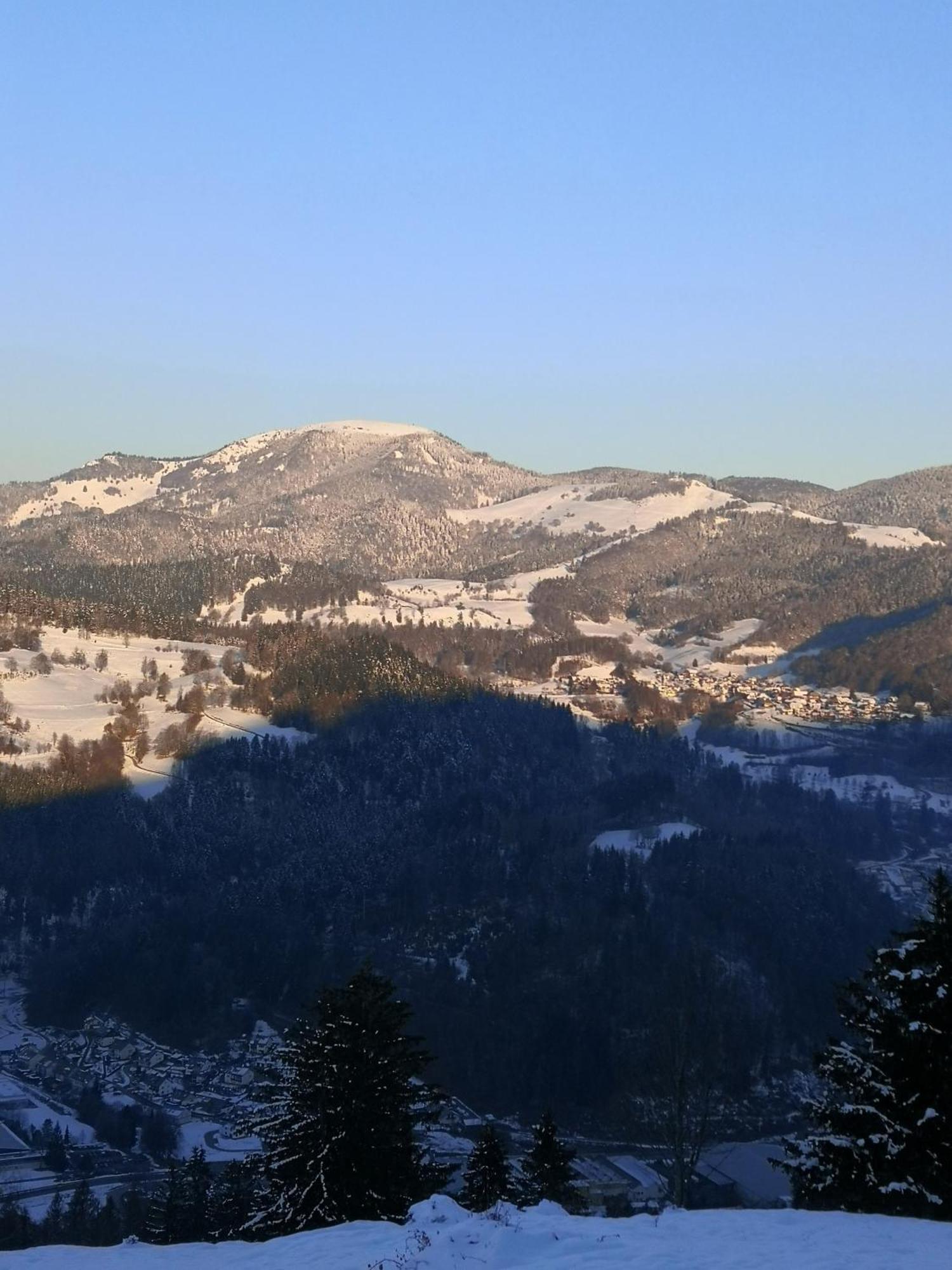Ferienwohnung Belchenliebe Schonenberg エクステリア 写真