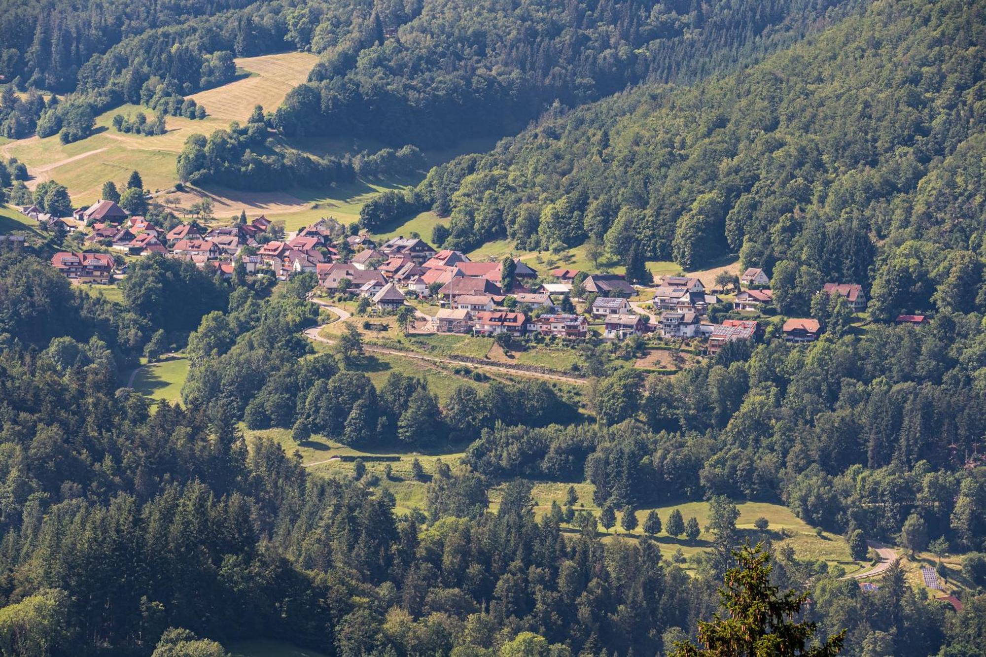 Ferienwohnung Belchenliebe Schonenberg エクステリア 写真