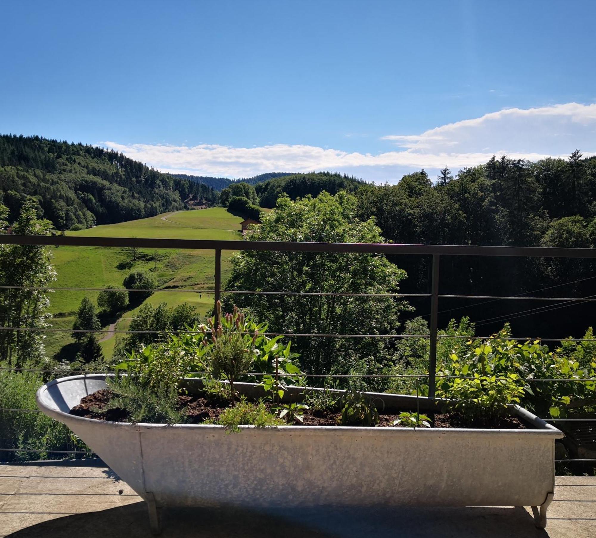 Ferienwohnung Belchenliebe Schonenberg エクステリア 写真
